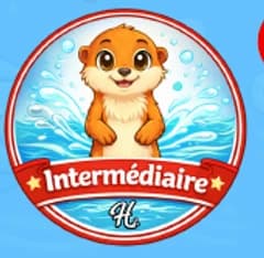 Badge Intermédiaire